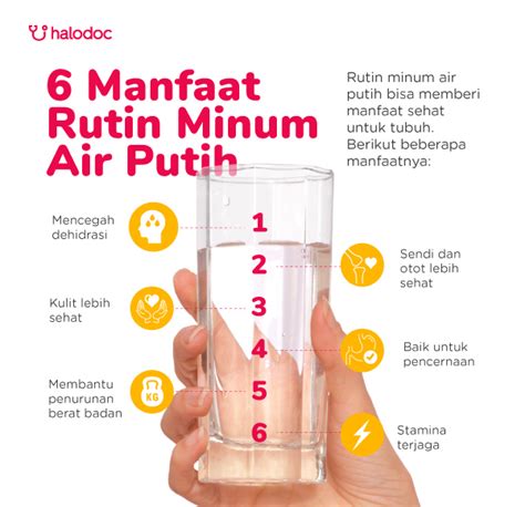 7 Rahasia Tersembunyi Agar Tubuh Tetap Sehat dan Bugar 7 Rahasia Tersembunyi Agar Tubuh Tetap Sehat dan Bugar