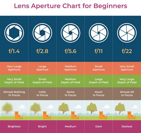 iPhone 18 Camera Revolution: Apple Opens Aperture to a Sharper Future